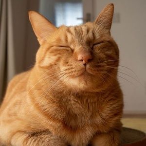 Meet your Posher, Janice